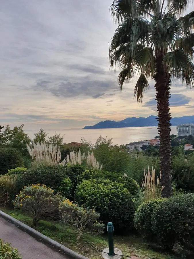 Mon paysage cannois Cannes